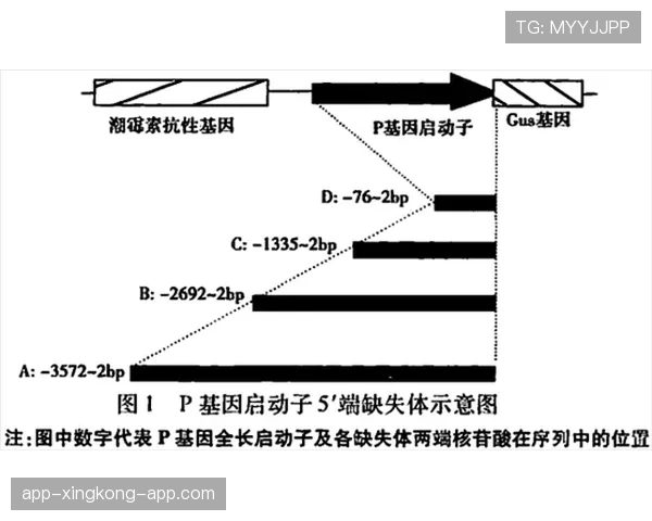 规则拆解｜身体对抗中的合法判罚边界和裁判视角解析